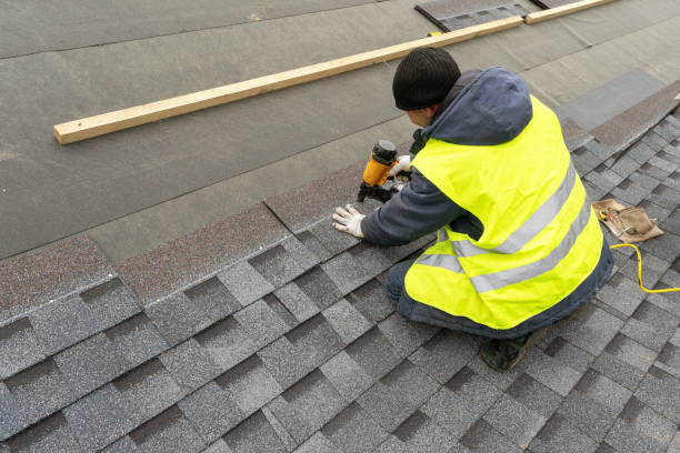 Best Roof Moss and Algae Removal  in West Liberty, WV